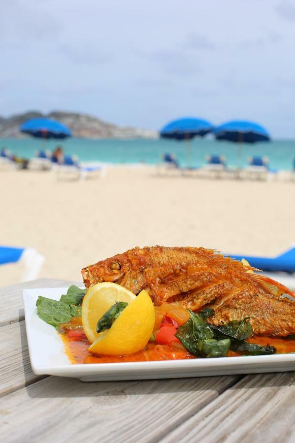El Zafiro Boutique Hotel Maho Reef Luaran gambar
